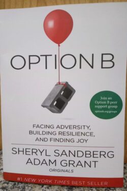 Option B: Facing Adversity, Building Resilience, and Finding Joy by Sheryl Sandberg and Adam Grant