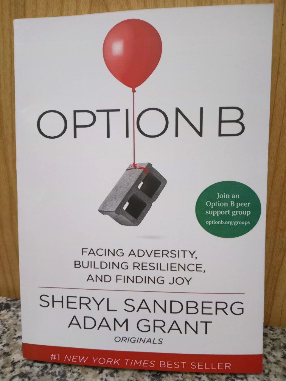Option B: Facing Adversity, Building Resilience, and Finding Joy by Sheryl Sandberg and Adam Grant