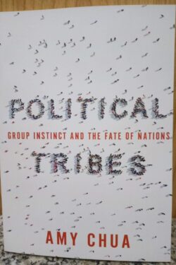 Political Tribes: Group Instinct and the Fate of Nations by Amy Chua