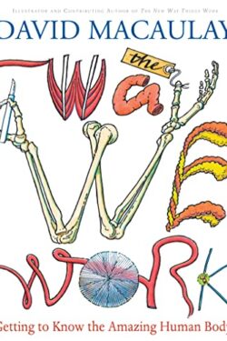 The Way We Work: Getting to Know the Amazing Human Body by David Macaulay