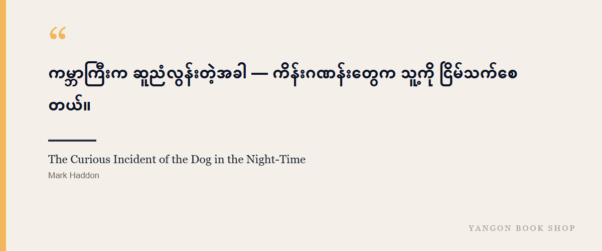 The Curious Incident of the Dog in the Night-Time